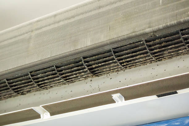 Best Home Air Vent Cleaning  in Big Lake, WA